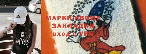 дмт Алексин