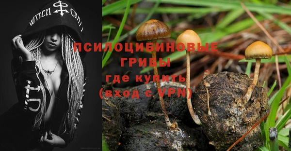 дмт Алексин