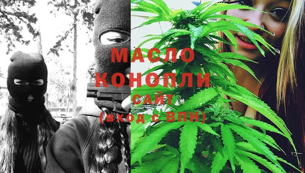 дмт Алексин