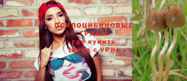 соль курить ск Алексеевка