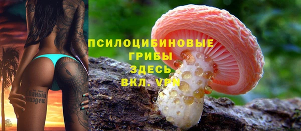 соль курить ск Алексеевка